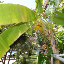 фото из отзыва ID 1756157