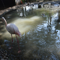 фото из отзыва ID 1756371