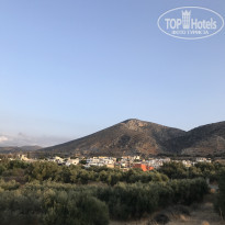 фото из отзыва ID 1756593