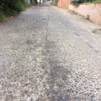 фото из отзыва ID 1756716