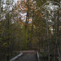 фото из отзыва ID 1756770