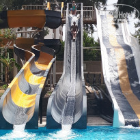 фото из отзыва ID 1756300