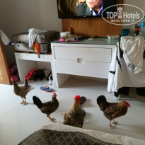 фото из отзыва ID 1756945