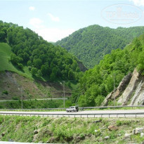 фото из отзыва ID 1756977