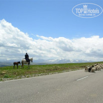 фото из отзыва ID 1756977