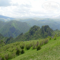 фото из отзыва ID 1756977