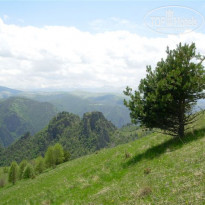 фото из отзыва ID 1756977