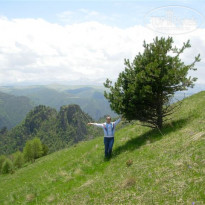 фото из отзыва ID 1756977