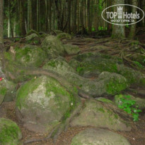 фото из отзыва ID 1756977