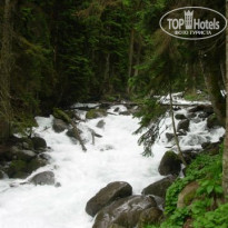 фото из отзыва ID 1756977