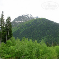 фото из отзыва ID 1756977