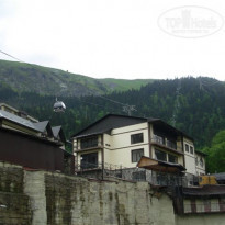 фото из отзыва ID 1756977