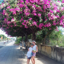 фото из отзыва ID 1757015