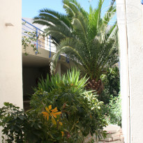 фото из отзыва ID 1757035