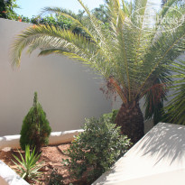 фото из отзыва ID 1757035