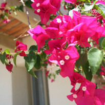 фото из отзыва ID 1757035