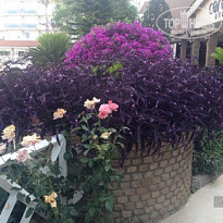 фото из отзыва ID 1757060