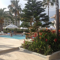 фото из отзыва ID 1757060