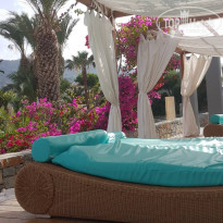 фото из отзыва ID 1757204