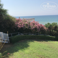 фото из отзыва ID 1757256