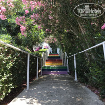 фото из отзыва ID 1757256