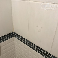 фото из отзыва ID 1757274