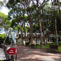 фото из отзыва ID 1757356