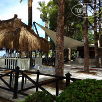 фото из отзыва ID 1757356