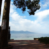 фото из отзыва ID 1757356