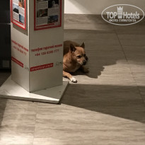 фото из отзыва ID 1757376