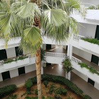 фото из отзыва ID 1757482