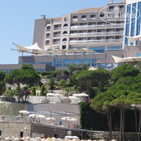 фото из отзыва ID 1757500