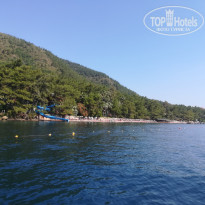 фото из отзыва ID 1757541