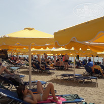 фото из отзыва ID 1757544