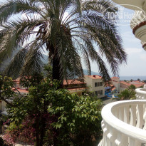 фото из отзыва ID 1755148