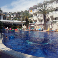 фото из отзыва ID 1755148