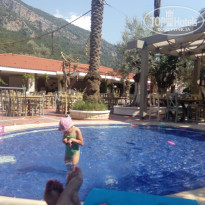 фото из отзыва ID 1755148