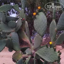 фото из отзыва ID 1757650