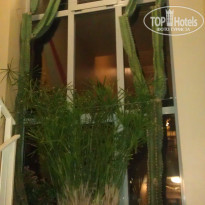 фото из отзыва ID 1757766