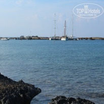 фото из отзыва ID 1757848