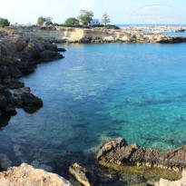 фото из отзыва ID 1757848