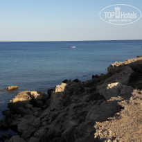 фото из отзыва ID 1757968