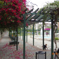 фото из отзыва ID 1757990