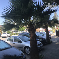 фото из отзыва ID 1758139