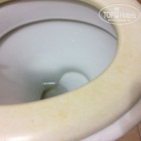 фото из отзыва ID 1758143