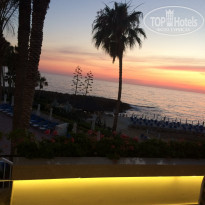 фото из отзыва ID 1757573