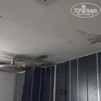 фото из отзыва ID 1758236