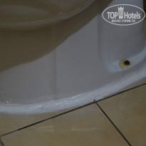 фото из отзыва ID 1758371