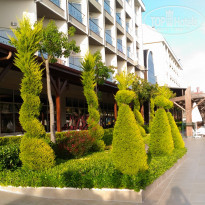 фото из отзыва ID 1757747