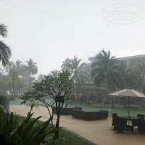 фото из отзыва ID 1758525